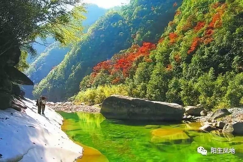 芭比一字肩